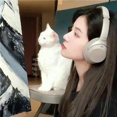狗仔杜宾